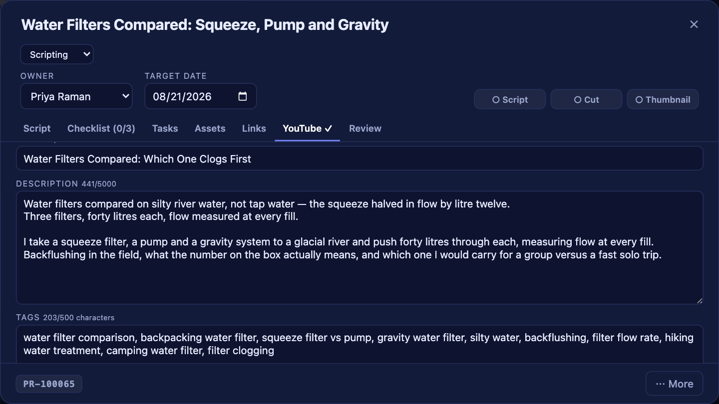 The YouTube tab with a generated title, a two-line search description, an expanded summary and 203 characters of tags.